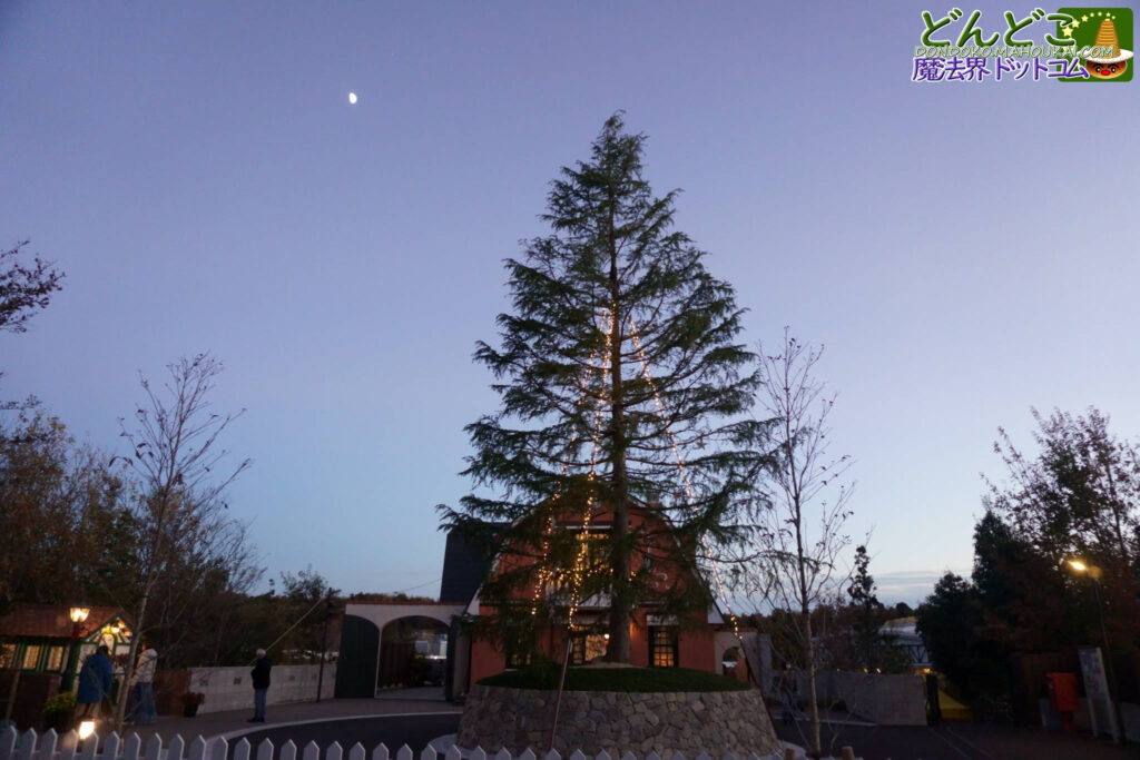 地球屋の前のロータリーの1本杉もクリスマスの飾り付け♪｜ジブリパーク12月のジブリパークはクリスマス景色に♪地球屋とロータリーの1本杉もクリスマスの飾り付け♪「猫の事務所」に舞踏会 仮面バロンも登場！「ジブリの大倉庫」はウェルカム クリスマス装飾！