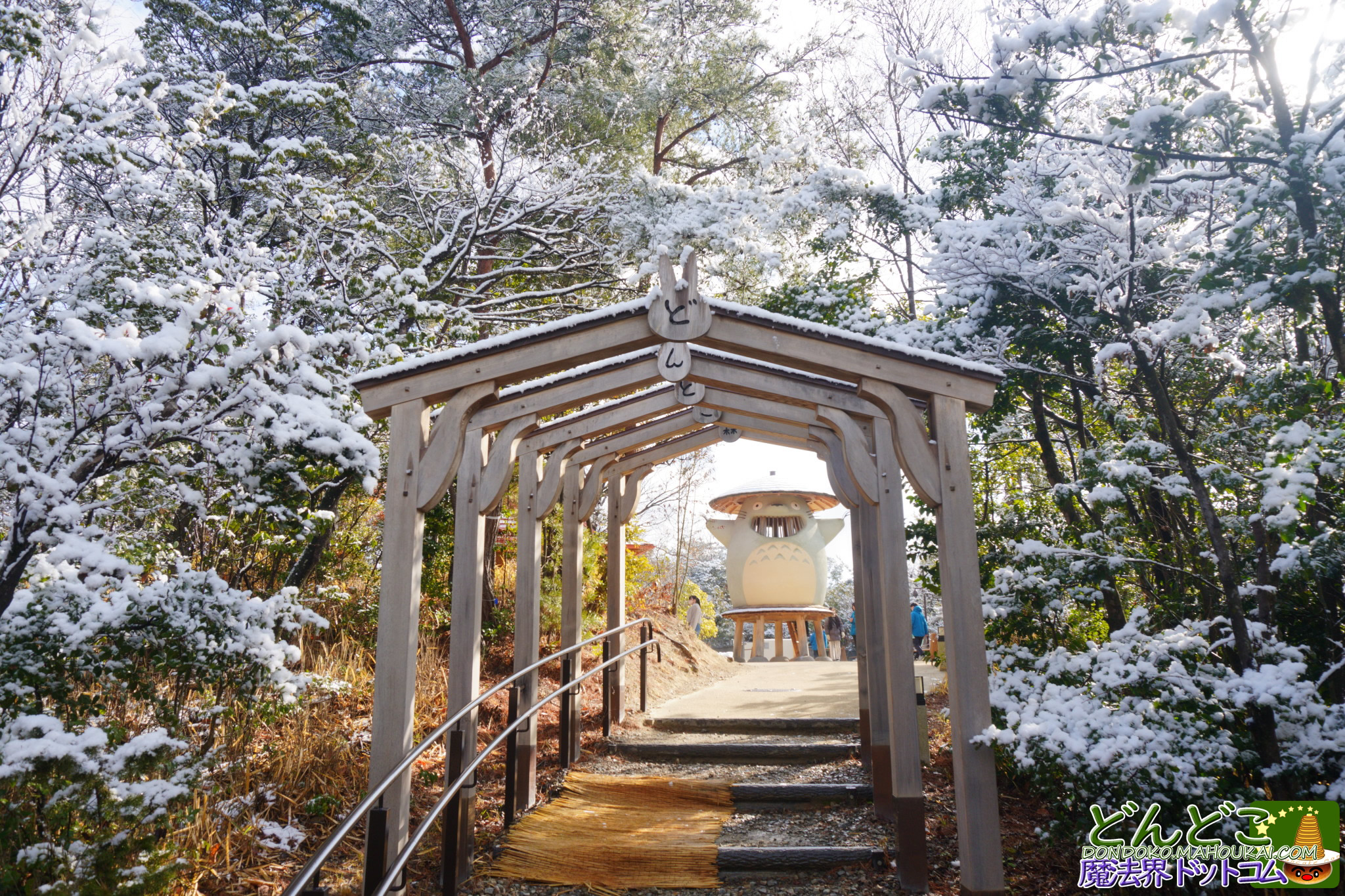 雪景色の「どんどこ森 山頂」とどんどこ堂 ジブリパーク  どんどこ森