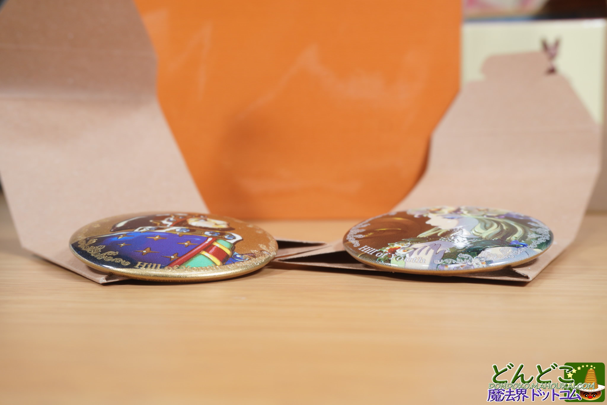 缶バッジ「エルフの王女」「ドワーフの王」｜地球屋 ジブリパーク限定グッズ