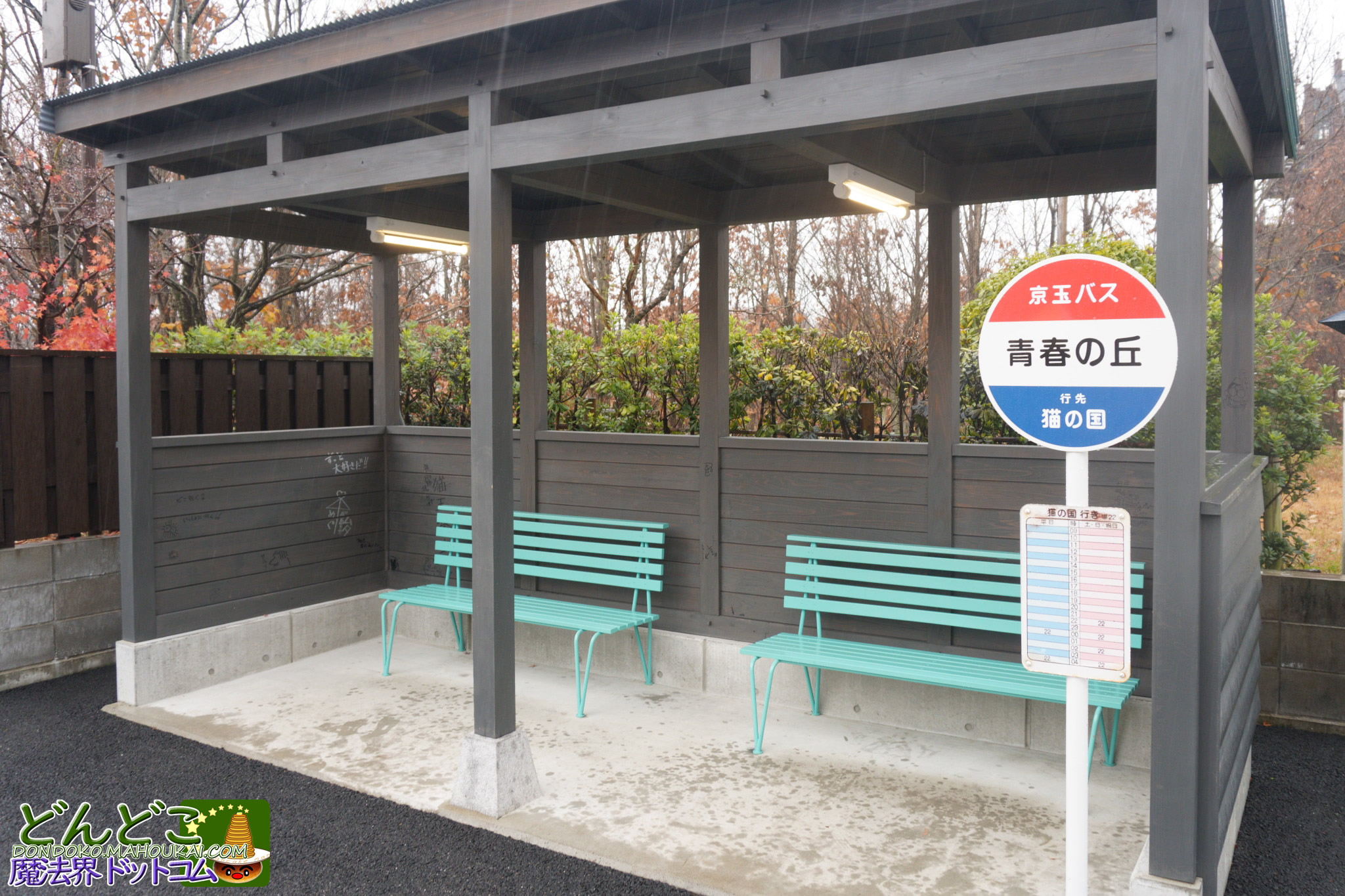 青春の丘【隠れスポット】バス停の待合室の壁にジブリの落書きが沢山！ジブリパーク