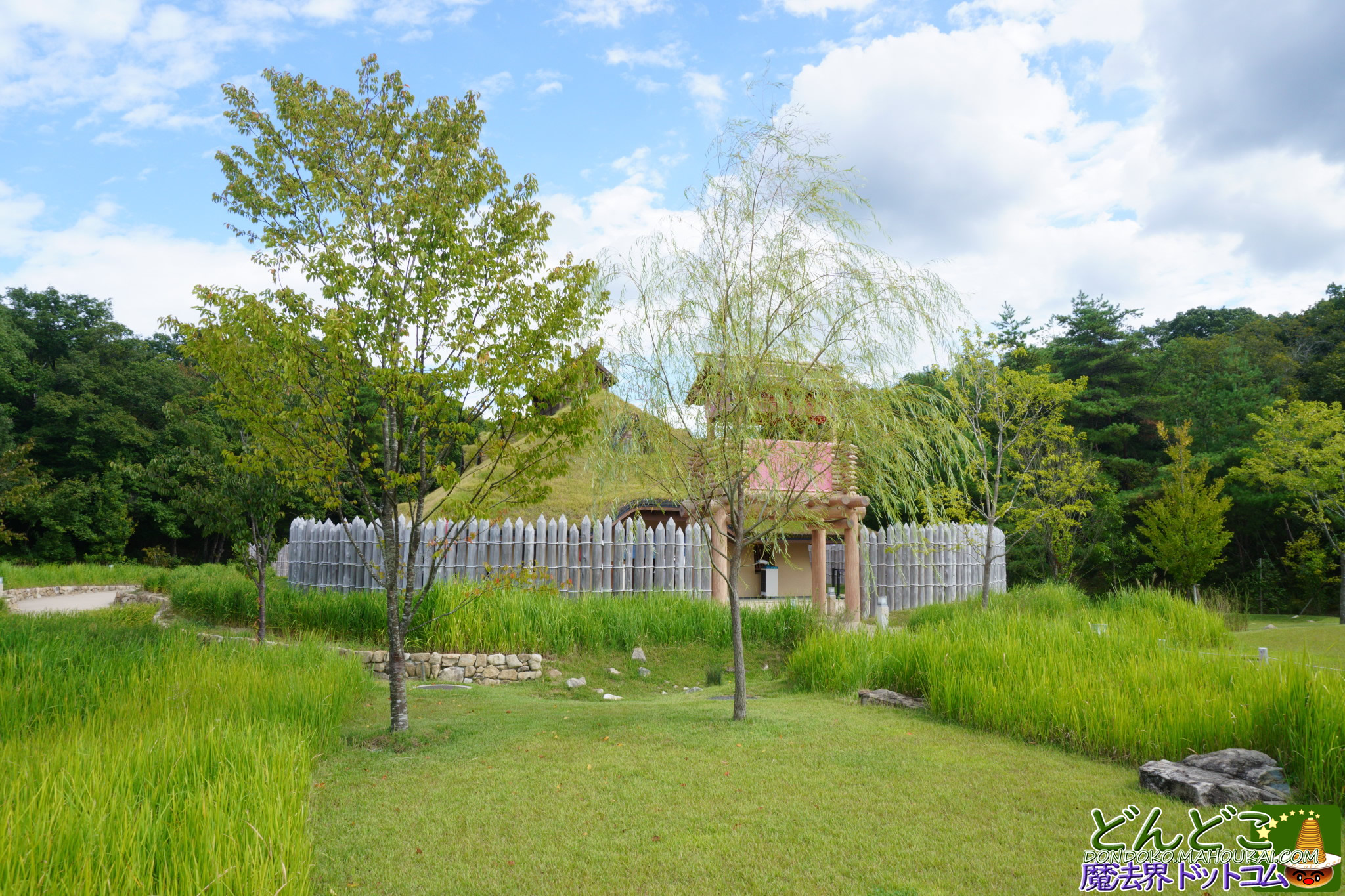 ジブリパーク わらび餅 きな粉づくり石臼挽き体験｜タタラ場 もののけの里 夏季期間