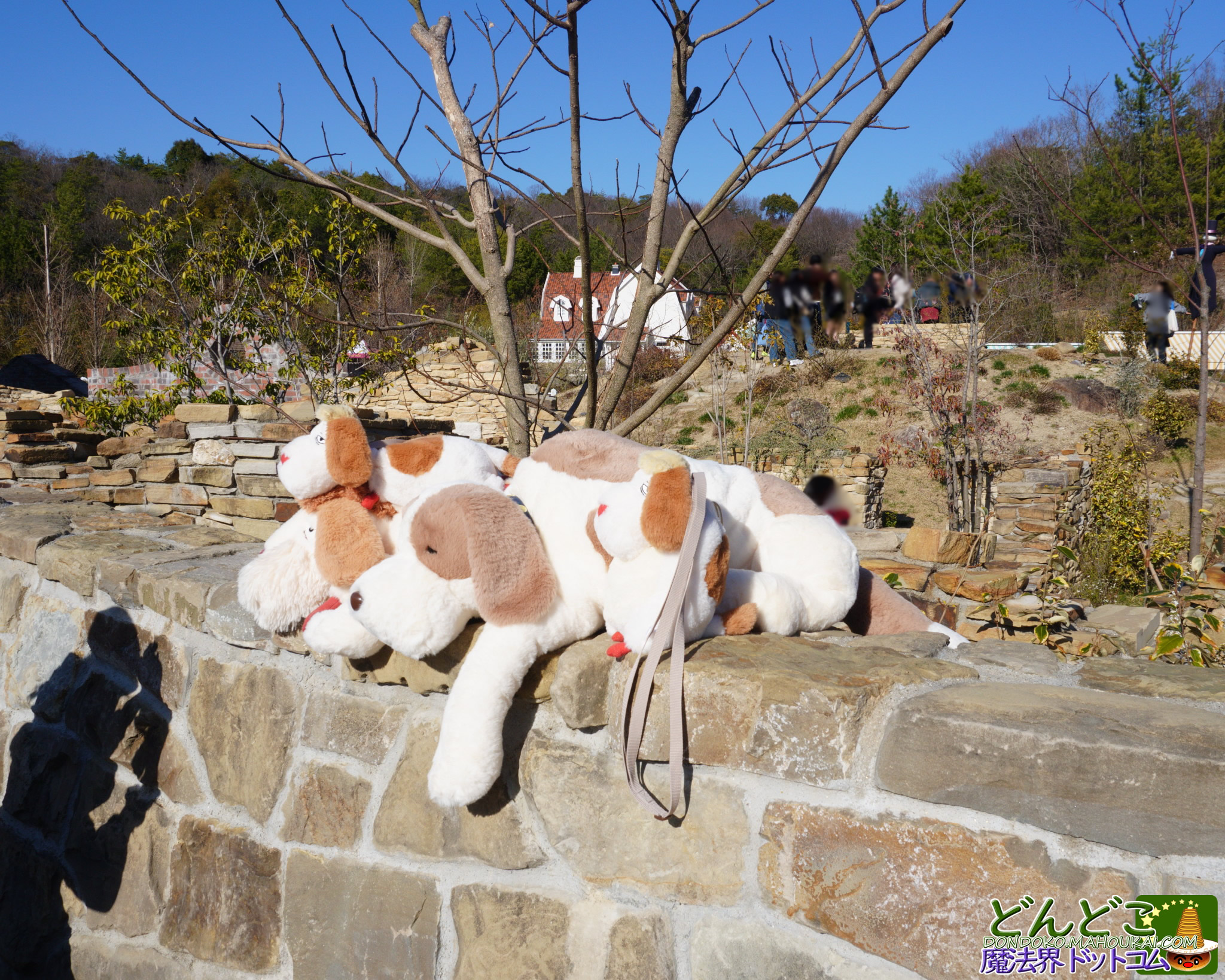 ジブリパーク ジェフぬいぐるみ購入！ 魔女の谷 13人の魔女団